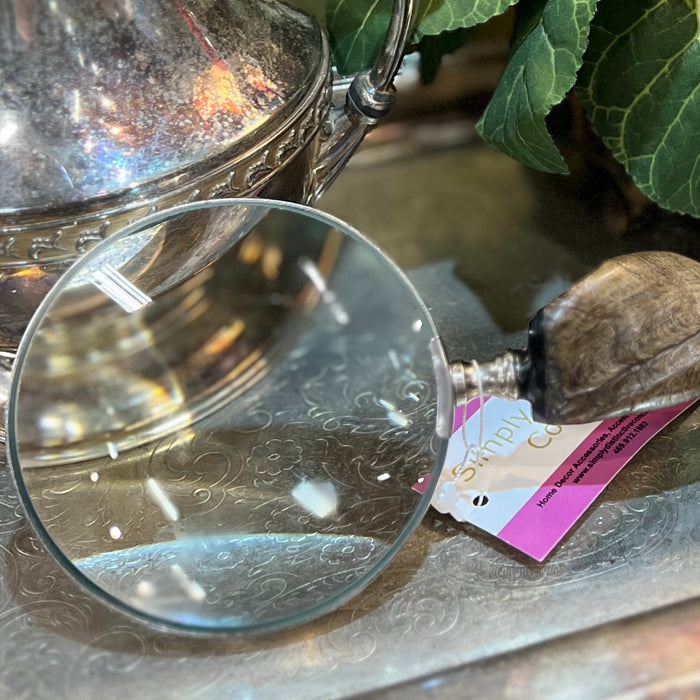 Fossil Magnifying Glass
