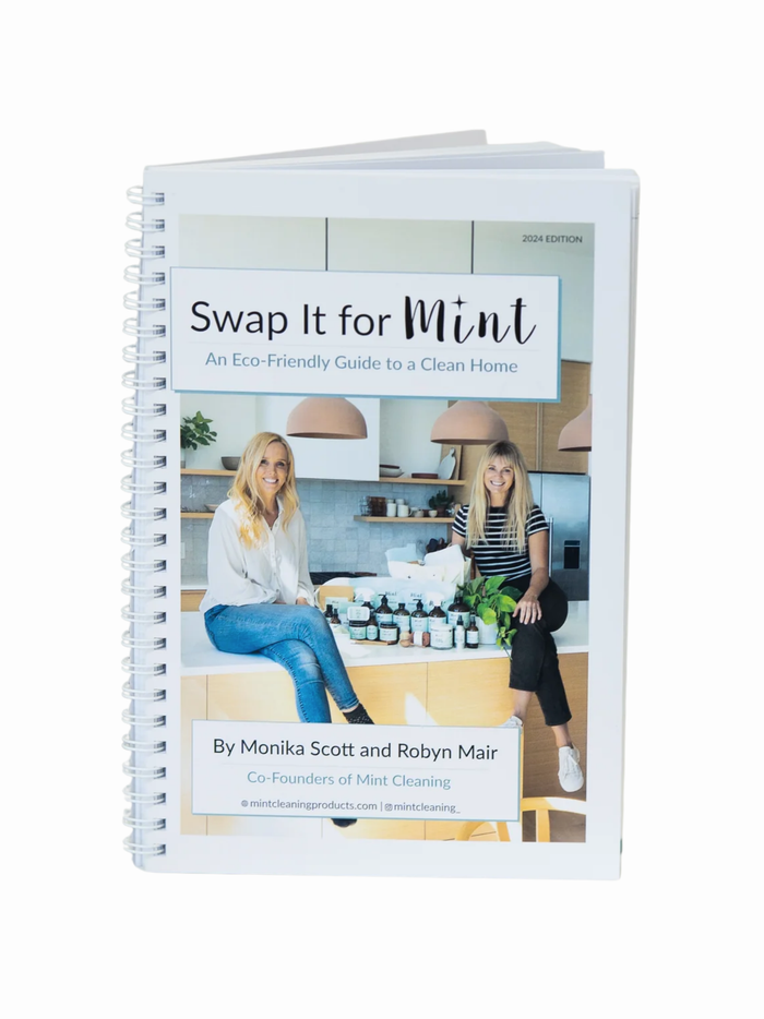 Mint Cleaning Book