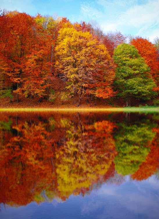Perfect Autumn (BBW type) - 1oz Sample