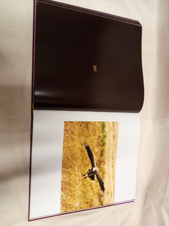 Signed copy of KARŞILAŞMALAR WILD ENCOUNTERS by Mustafa V.Koç
