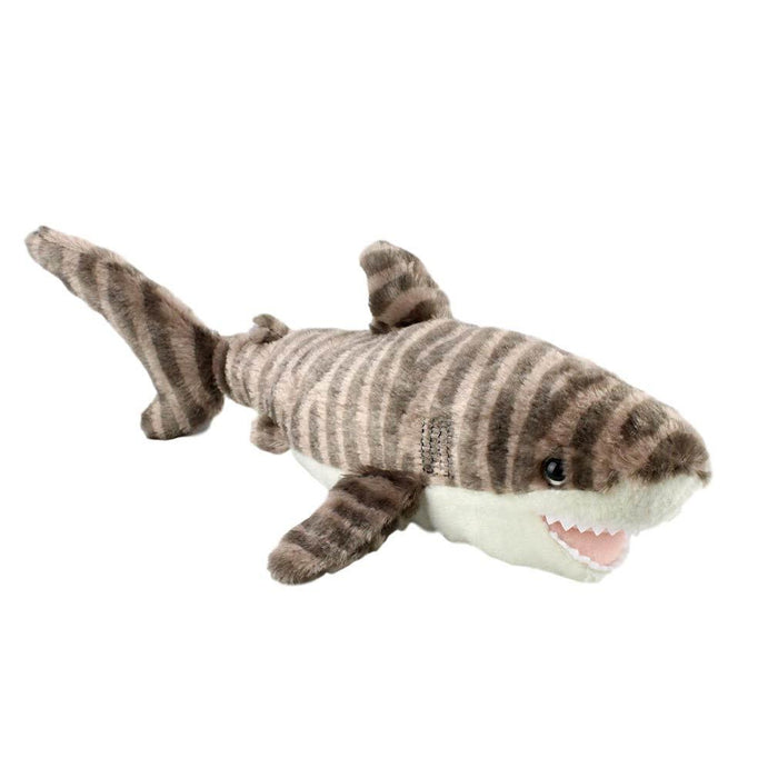 CK Mini Tiger Shark