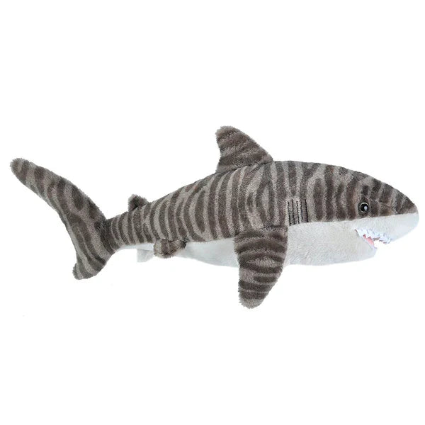 CK Mini Tiger Shark