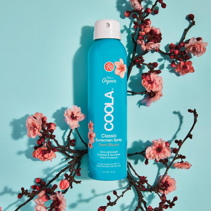 Classic Body Organic Sunscreen Spray SPF 70 | COOLA in a blue spray bottle with peach blossom scent, surrounded by pink blossoming branches, highlighting organic skincare and sun protection.