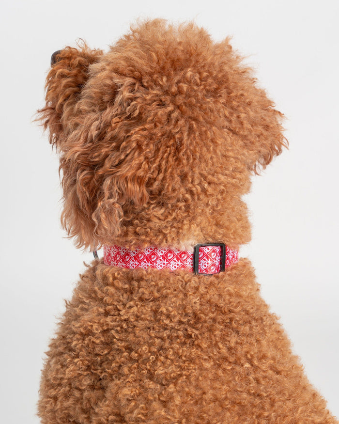Corp Dog Collar in Red