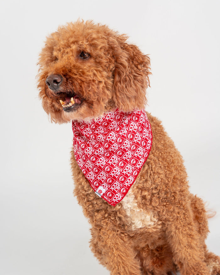 Corp Pet Bandana in Red