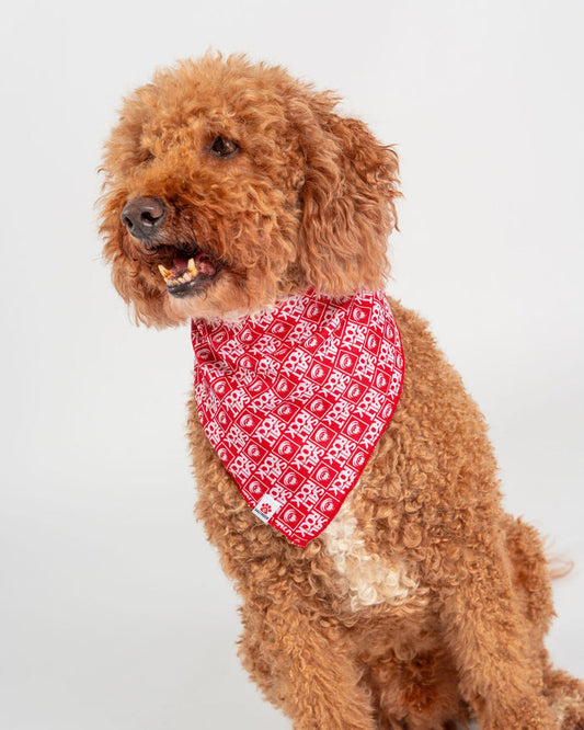 Corp Pet Bandana in Red