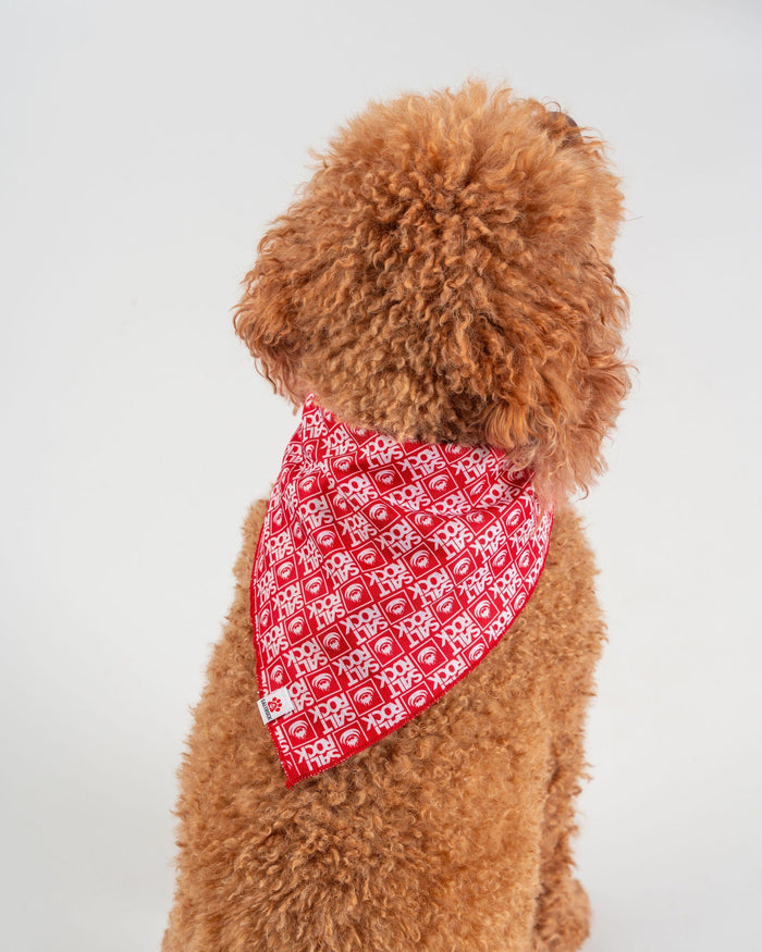 Corp Pet Bandana in Red