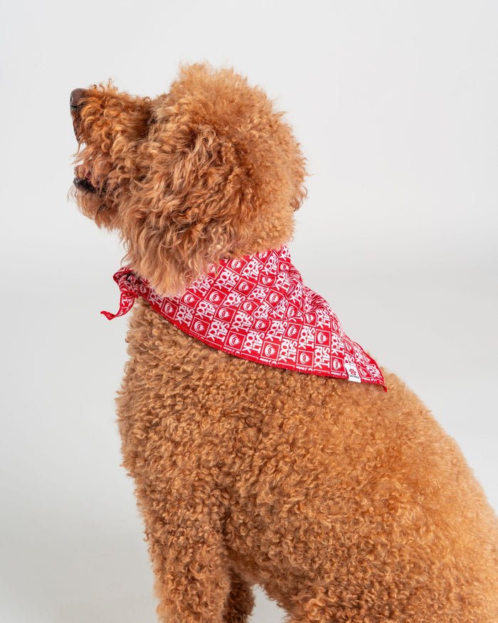 Corp Pet Bandana in Red