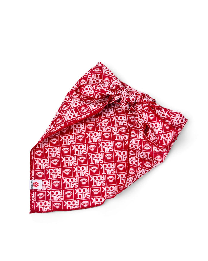 Corp Pet Bandana in Red
