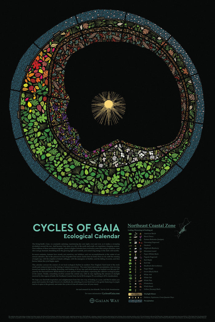 Cycles of Gaia Ecological Calendar