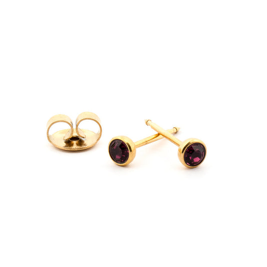 February (Amethyst) Gold Earrings 4 mm Earrings
