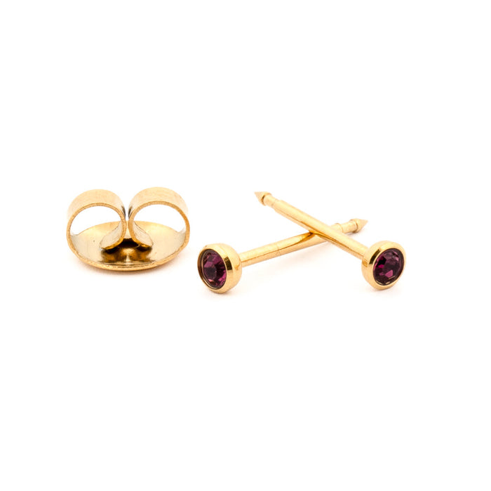 February (Amethyst) Gold Earrings 3 mm Earrings