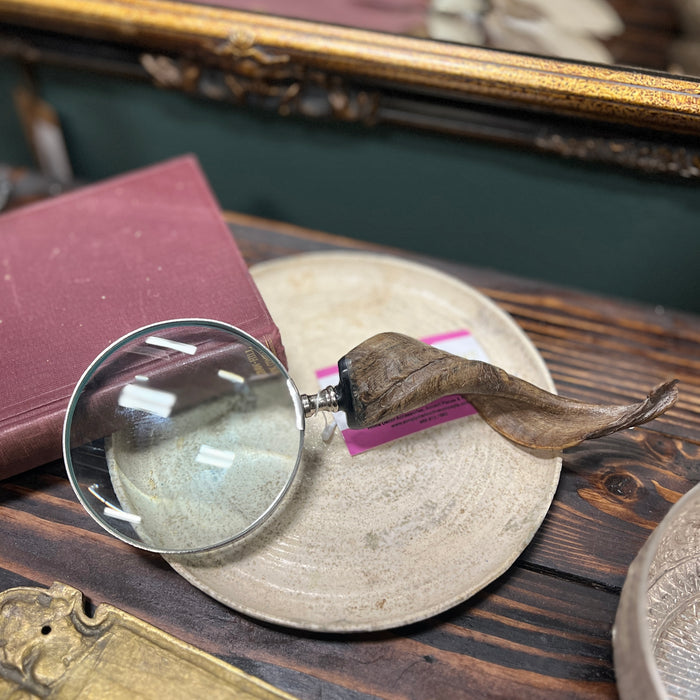 Fossil Magnifying Glass