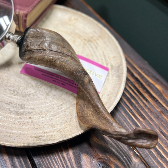 Fossil Magnifying Glass
