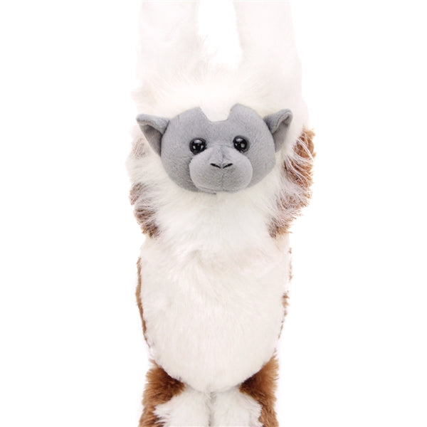 Hanging Cotton Top Tamarin