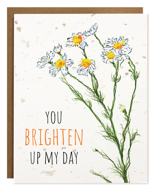 Plantable Greeting Cards
