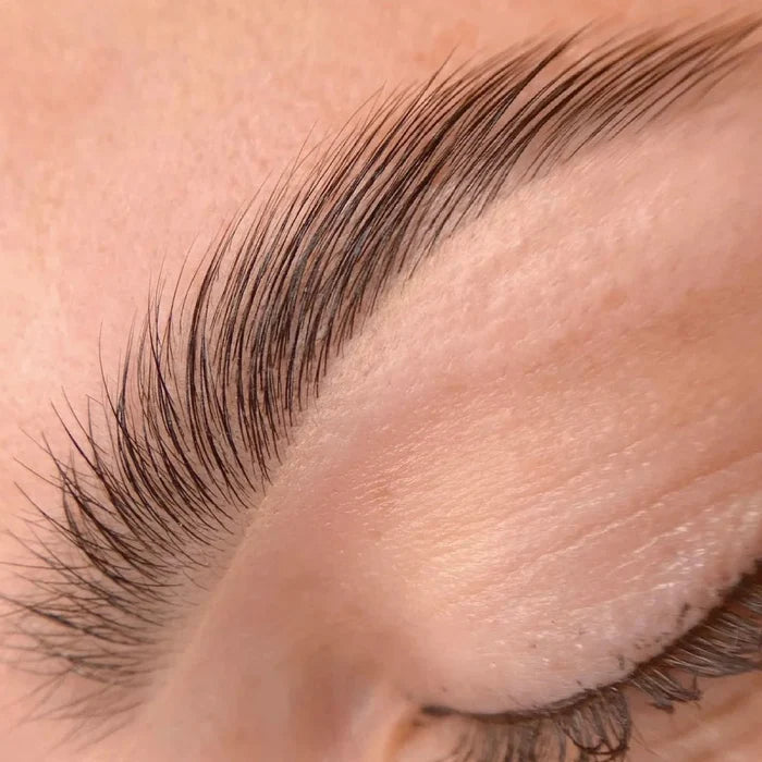 Refectocil Brow Lamination - Correspondence Course with kit