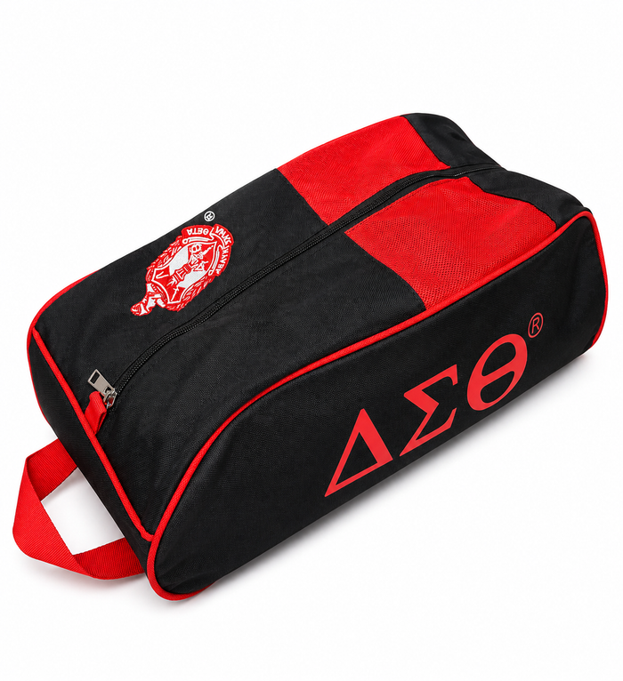 Shoe Bag