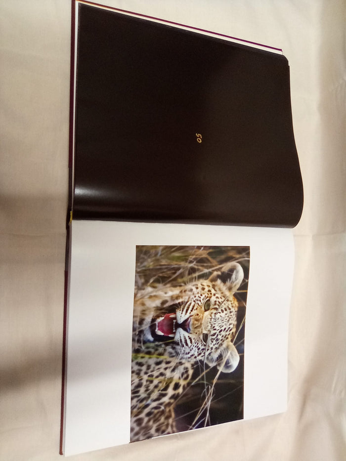 Signed copy of KARŞILAŞMALAR WILD ENCOUNTERS by Mustafa V.Koç