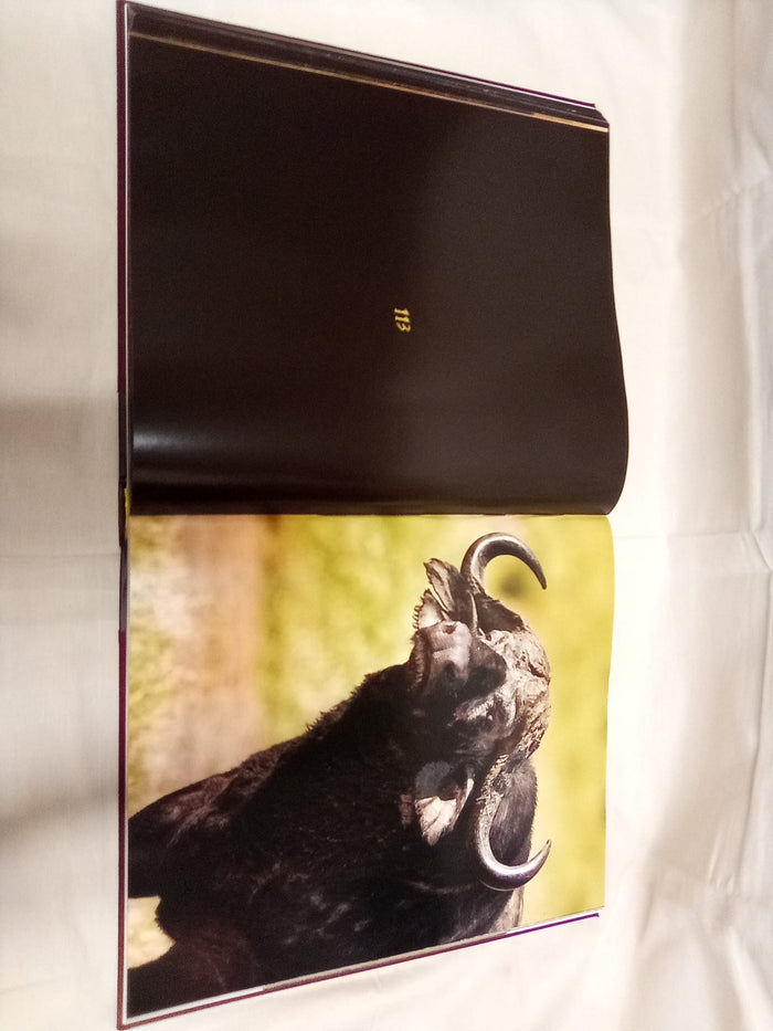 Signed copy of KARŞILAŞMALAR WILD ENCOUNTERS by Mustafa V.Koç