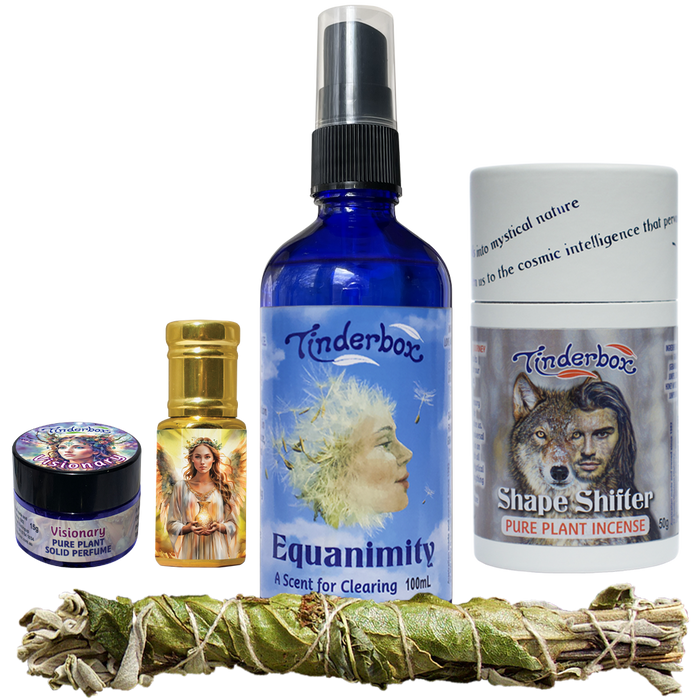 The Shamanic Toolbox