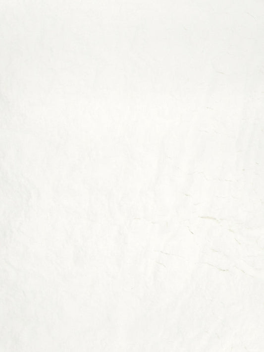 Unscented Tooth Powder